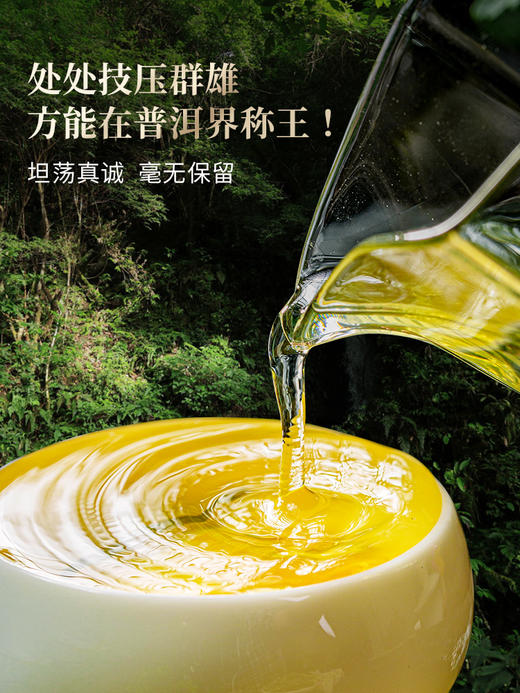 【2025年春茶】【老班章】普洱茶界的霸主 茶界的终极奢侈巨作 ！每一片叶子都来自老班章7号茶农家核心古茶园，357克/饼 5饼/提 拍5发6 拍20发25 商品图7