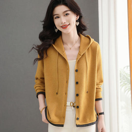 CC-5-6302春秋季新款时髦洋气简约连帽针织开衫卫衣休闲百搭外套上衣 商品图0