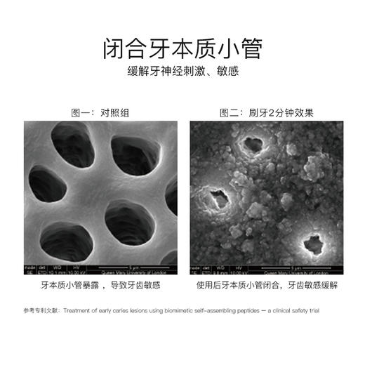 【卢璐说专属】瑞士Dr.Wild怀尔德— 抛光去渍 | 钻石粉亮白 | 茶树油清新 | 多肽抗敏   功效性牙膏75ml 专注牙齿美白持久清新 商品图11