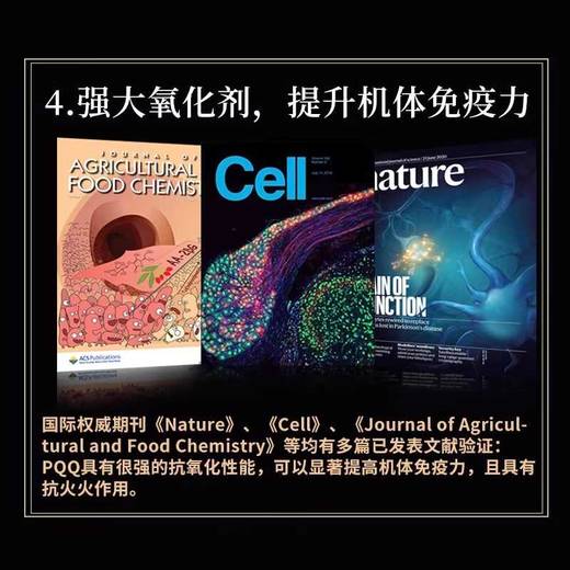 Zenrvit泽恩维他脑维他营养神经全面修复保护大脑盾美国原装进口 商品图4