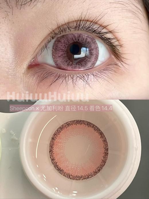 【本店实拍】Sheepcon-偏大款/混血尤加利系列/灰/棕/粉-14.5mm 【年抛 度数0-1000度 含525/575 】 商品图3