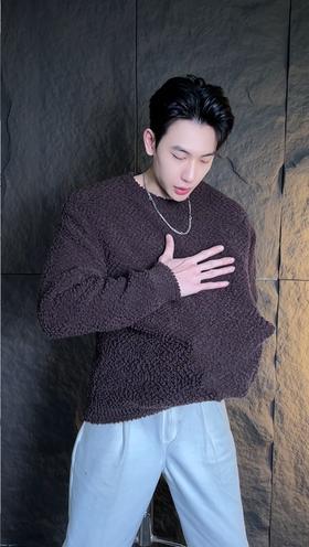 FW0011秋季新款纯色百搭软糯简约圆领套头休闲长袖毛衣