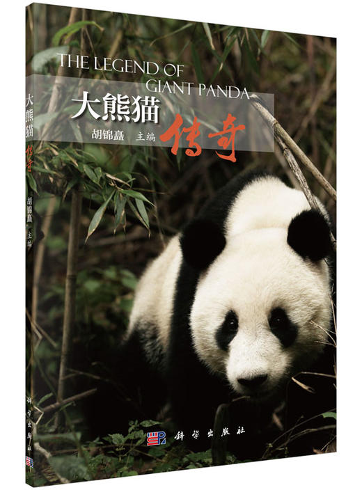 大熊猫传奇 商品图0