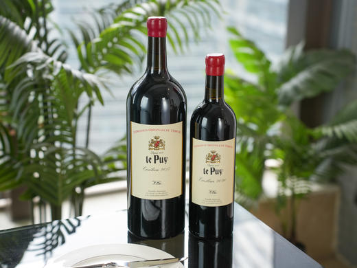 法国波尔多勒庞le Puy酒庄埃米利旗舰干红，2017年（1.5L）/2021年（750ml） 商品图5