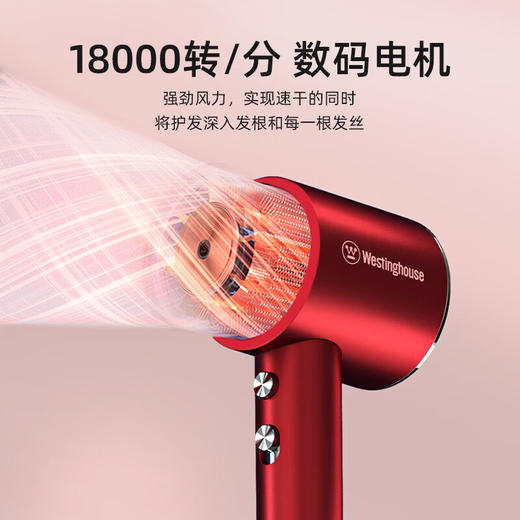 西屋(Westinghouse)恒温水润负离子电吹风_H108 商品图1