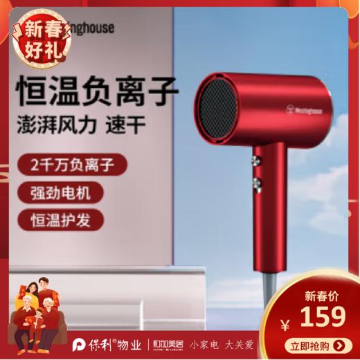 西屋(Westinghouse)恒温水润负离子电吹风_H108 商品图0