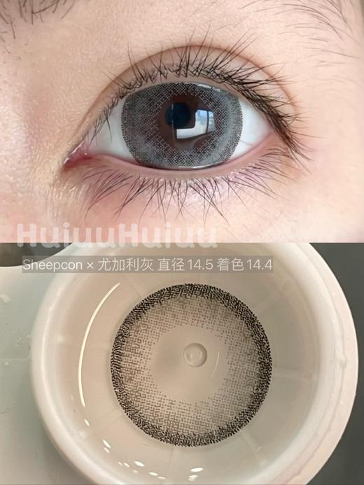 【本店实拍】Sheepcon-偏大款/混血尤加利系列/灰/棕/粉-14.5mm 【年抛 度数0-1000度 含525/575 】 商品图1