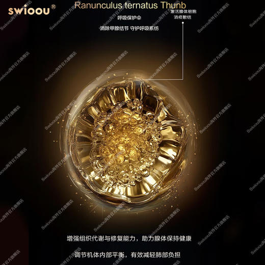 美国Swioou帝肺片槲皮素润肺护肺多重养护焕生 60片瓶 商品图2