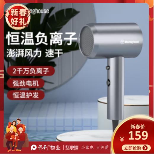 西屋（Westinghouse）恒温负离子电吹风_H109 商品图0
