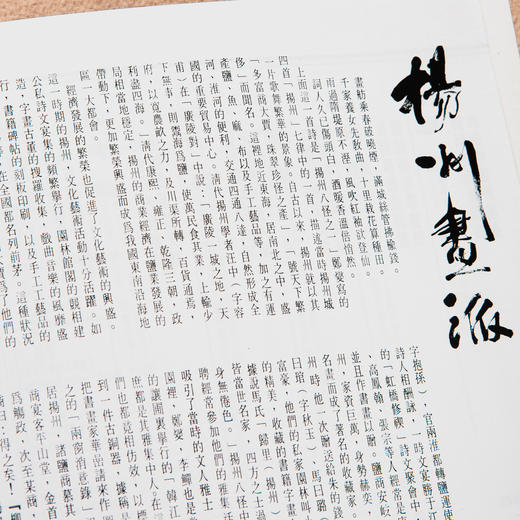 【绝版好书】《扬州画派》1999年台湾艺术图书公司出版 商品图2