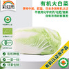 全国发货满额包邮  新鲜有机蔬菜大白菜2斤欧盟认证 彩虹雨农场 商品缩略图0