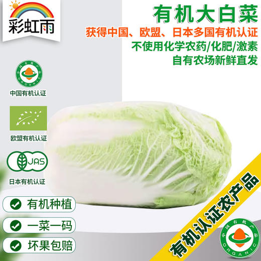 全国发货满额包邮  新鲜有机蔬菜大白菜2斤欧盟认证 彩虹雨农场 商品图0