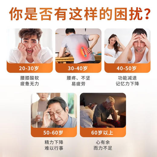 圣世御品特级人参海狗丸京仁堂牌滋补健肾淫羊藿保健 商品图2