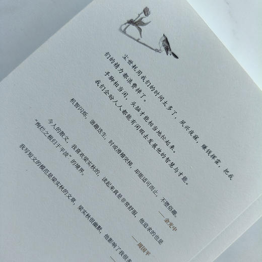 梁实秋闲适主题散文2册套装：于是生活像极了生活+仅有闲时最像人 商品图8