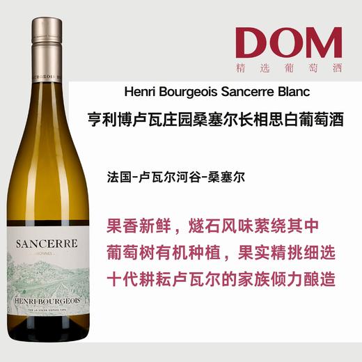 亨利博卢瓦庄园桑塞尔长相思白葡萄酒 Henri Bourgeois Sancerre Sauvignon Blanc 商品图0