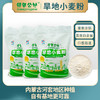 绿色公社旱地小麦面粉 内蒙古河套种植 麦香浓郁 1kg 商品缩略图0