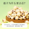 【杞里香湘潭白莲子】干货去芯420g 配百合银耳
当季鲜莲圆润饱满 口感 商品缩略图5