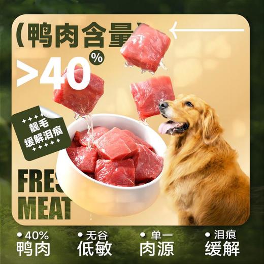 观本 全价无谷鸭肉梨狗粮15kg/袋 送赠品碗/沃夫可罐头/苏佩福香肠 商品图1