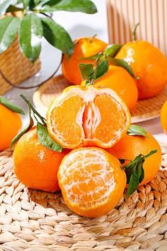 【云燕优品】耙耙柑 清甜 现摘生鲜水果 橘子 商品图2