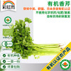 全国发货满额包邮 新鲜有机蔬菜 香芹250g欧盟认证 彩虹雨农场 商品缩略图0