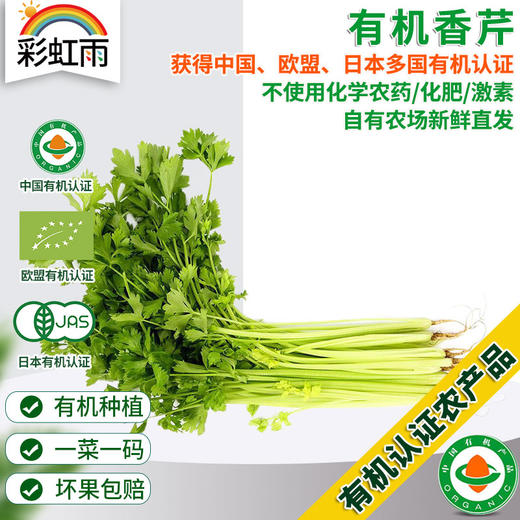 全国发货满额包邮 新鲜有机蔬菜 香芹250g欧盟认证 彩虹雨农场 商品图0