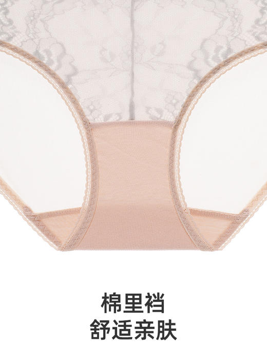【倾城之恋小裤2025新色】遐平角裤春夏速干不夹臀大码包臀中腰内裤女 商品图3