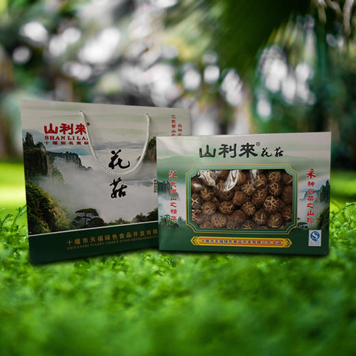 山利来绿盒花菇300g+木耳200g组合装 礼盒  商品图0