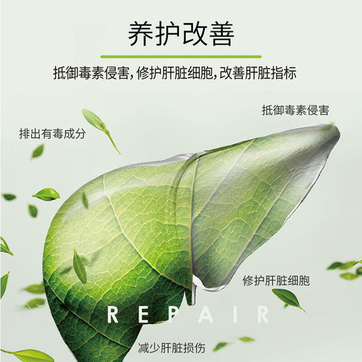 GRANVER吉利肝清脂护肝胶囊 吉轻肝降胆固醇降转氨酶脂肪肝解酒 商品图4