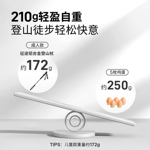  牧高笛（MOBIGARDEN）征途铝合金登山杖 NX23667001 商品图1