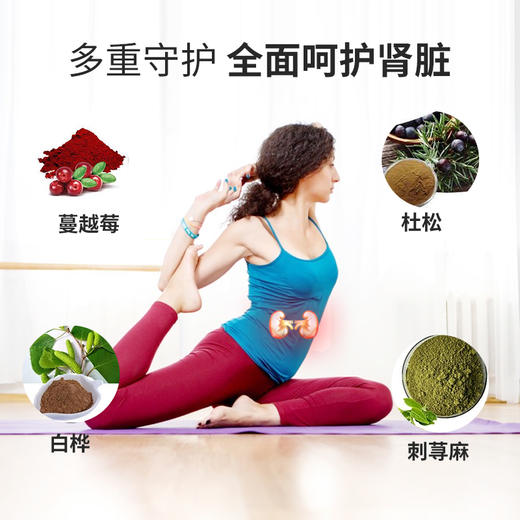 美国汉拿博士肾宝胶囊调理改善肾脏补阳补气去废气虚强Cell-IQ 商品图3