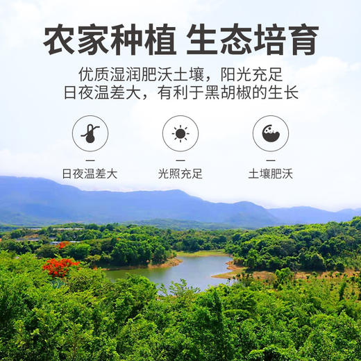 方家铺子海盐黑胡椒70g 商品图8