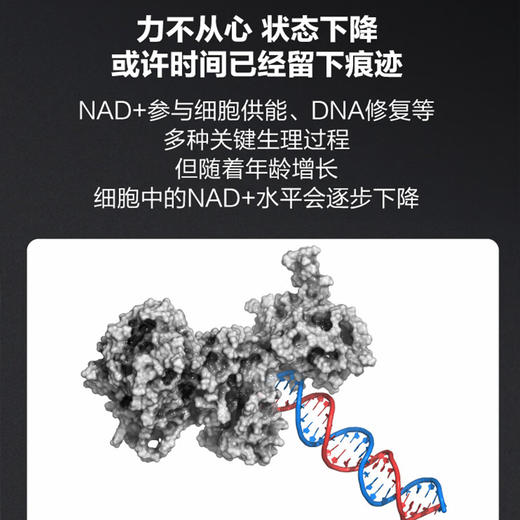 瑞维拓5代美国原装进口瑞维拓nmn白金版衰老NAD+G5官方旗舰店正品 商品图3