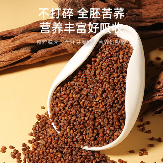 【冬季滋补】【杞里香黑珍珠黑苦荞茶280g】四川大凉山荞麦罐装健康茶饮 高山种植 全胚芽麦粒 商品图3