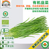 全国发货满额包邮 新鲜有机蔬菜 韭菜250g 欧盟认证彩虹雨农场 商品缩略图0