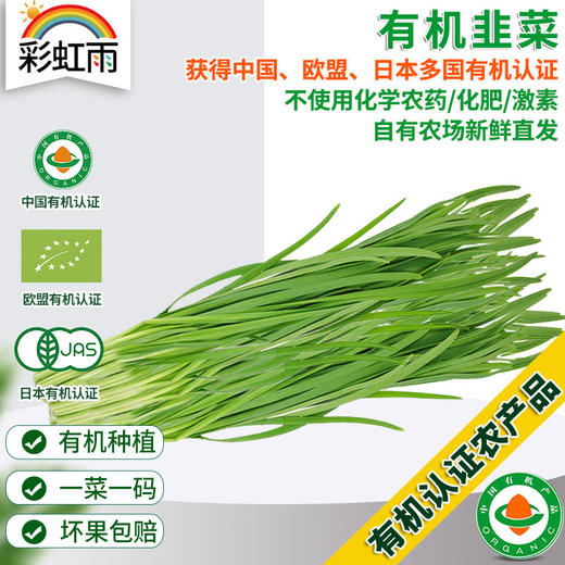 全国发货满额包邮 新鲜有机蔬菜 韭菜250g 欧盟认证彩虹雨农场 商品图0