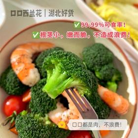 宝宝西蓝花【京东/顺丰发货】|山人优选