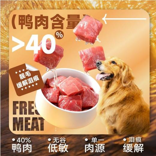 观本 全价无谷鸭肉沙棘狗粮 15kg/袋 送碗/罐头/香肠/饮水机 商品图2