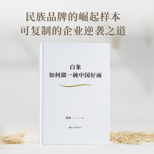 白象：如何做一碗中国好面 商品图0