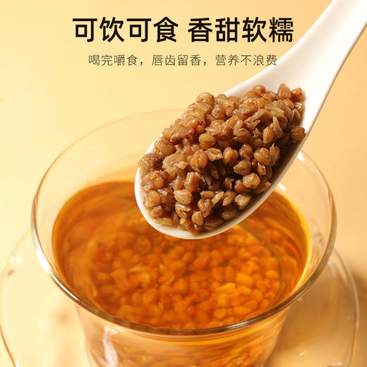 【冬季滋补】【杞里香黑珍珠黑苦荞茶280g】四川大凉山荞麦罐装健康茶饮 高山种植 全胚芽麦粒 商品图6