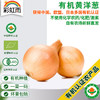 有机蔬菜 黄洋葱500g欧盟认证 京津冀满百包邮 商品缩略图0
