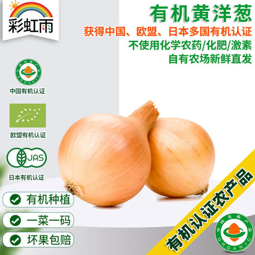 有机蔬菜 黄洋葱500g欧盟认证 京津冀满百包邮 商品图0