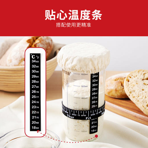 新良顶厨.发酵罐.730ml套装鲁邦波兰种发酵罐酵种培养皿玻璃密封储物罐 商品图2