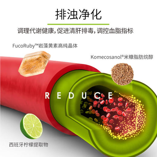 GRANVER吉利肝清脂护肝胶囊 吉轻肝降胆固醇降转氨酶脂肪肝解酒 商品图3