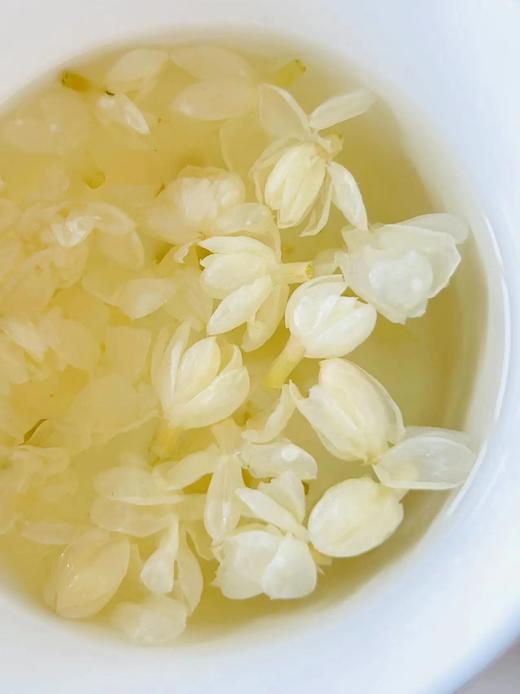 【2025高端茉莉花】10斤茉莉鲜花才得1斤茉莉花球精选特级花苞朵朵饱满大颗人工摘梗去花托纯净无杂质冲泡后不苦不涩基地直邮 商品图2