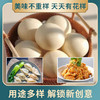 绿色公社旱地小麦面粉 内蒙古河套种植 麦香浓郁 1kg 商品缩略图5