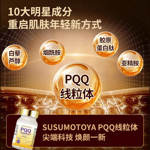 【拍4送1】日本进口高纯度PQQ线粒体亚精胺细胞童颜能量瓶 商品图2
