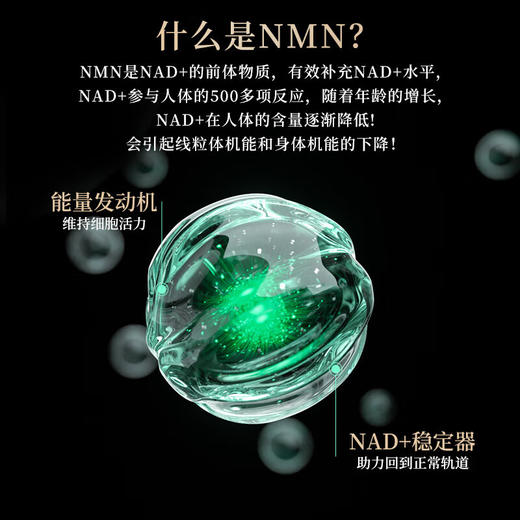 nmn18000原装进口抗nad+衰老补充剂香港发货DCgubbm官方旗舰店 商品图2