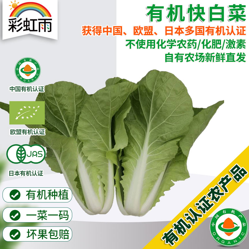 彩虹雨  有机蔬菜 新鲜蔬菜青菜快白菜250g欧盟认证  京津冀满百包邮