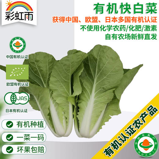 彩虹雨  有机蔬菜 新鲜蔬菜青菜快白菜250g欧盟认证  京津冀满百包邮 商品图0
