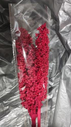 永生花 | 高梁红色